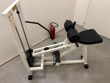 Calf machine Tecnogym