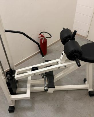 Calf machine Tecnogym