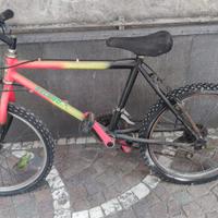 Bici mountain bike bambino con doppio cambio