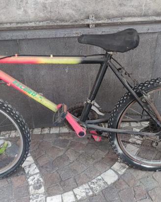 Bici mountain bike bambino con doppio cambio