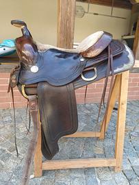 sella americana Jalisco