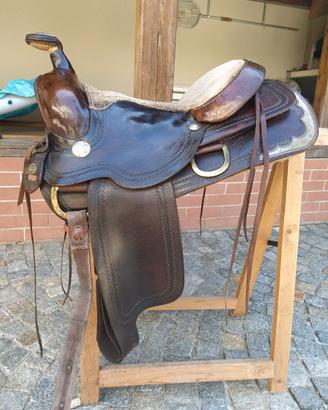 sella americana Jalisco