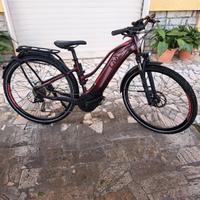 Ebike Giant Liv Amiti+