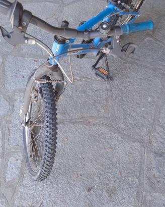bicicletta 