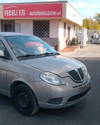 ricambi usati Lancia Ypsilon 