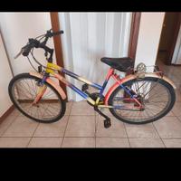 bici trubbiani 26"