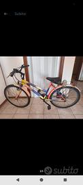 bici trubbiani 26"