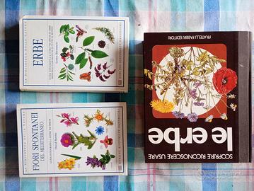 Erbe e fiori