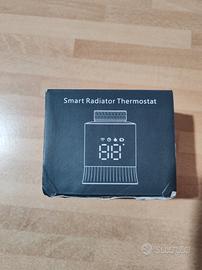 termostato smart per termosifoni 