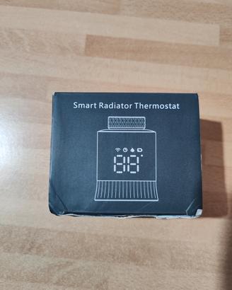 termostato smart per termosifoni 