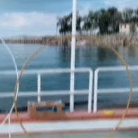 cerchio per allestimento 