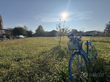 Terreno Residenziale Montagnana [Cod. rif M126VRG]