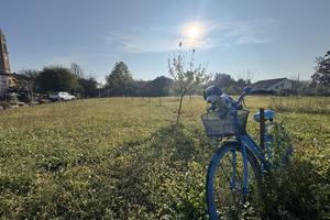 Terreno Residenziale Montagnana [Cod. rif M126VRG]