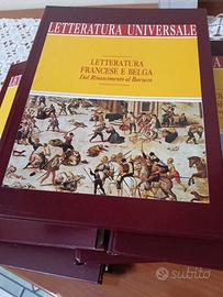 collezione di libri riguardante letteratura univer