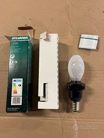 Lampadina ricambio lampione stradale