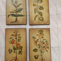 Quadri di Fiore Simonetti decorati a mano