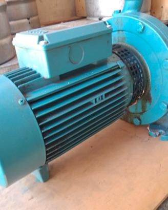 pompa centrifuga calpeda