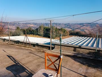 GIOSTRE PER ALLODOLE