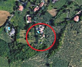 Villa padronale con ampio giardino e piscina