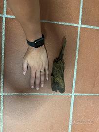 Legno per acquario