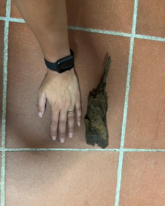 Legno per acquario