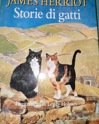 libro da collezione 1 ediz