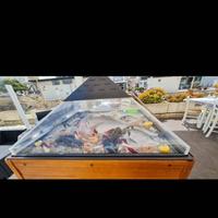 Frigovetrina carrello espositore pesce