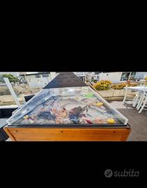 Frigovetrina carrello espositore pesce