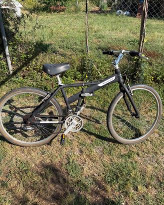 Bici coppi