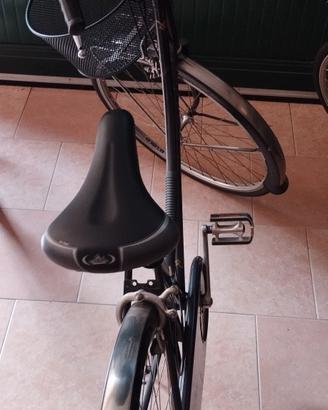 bici donna "Chesini "