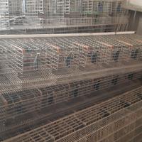 varie per allevamento 