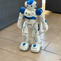 Robot RC Antaprcis