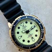 Citizen Promaster ny0040 dual tone