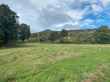 Terreno a 25 km da Rimini