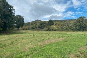 Terreno a 25 km da Rimini