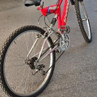 Mountain bike Shadow 4000