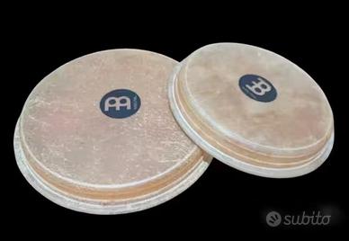 Coppia pelli di ricambio originali Meinl per bongo