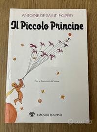 Libro “Il Piccolo Principe”
