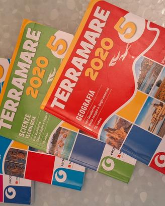 libri scolastici classe 5 Primari  TERRAMARE