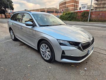 Skoda Octavia 2.0 TDI 150 CV DSG Wagon Selection