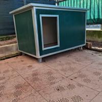 casetta per cane