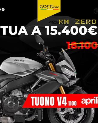 Aprilia Tuono V4 1100