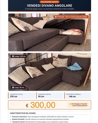 🛋️ DIVANO LETTO E CONTENITORE 🛋️