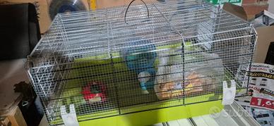 gabbia per roditori 