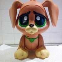 Cagnolino Charlie che nuota e cammina