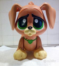 Cagnolino Charlie che nuota e cammina