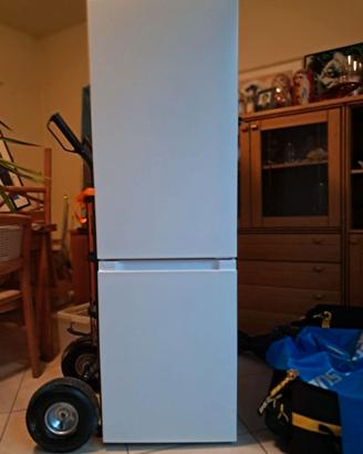frigo