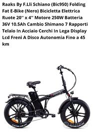 Bici Elettrica Ruote 20'' x 4''RAAKS F.LLI SCHIANO