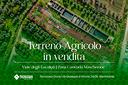 ter-agricolo-a-manfredonia