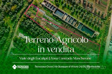 TER. AGRICOLO A MANFREDONIA
